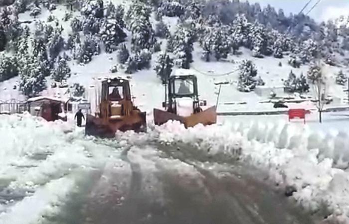 الاعتدال الوطني يدعو لإنقاذ المتضررين في عكار