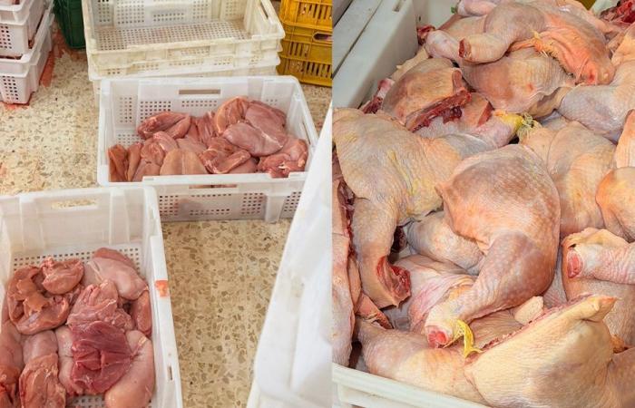 ضبط مستودعَي دجاج مخالفَين لشروط السّلامة الغذائيّة! (فيديو)