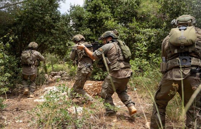 قنابل صوتية وتسلل إسرائيلي إلى عيتا الشعب