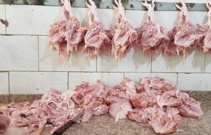 إقفال محلّين لبيع الدجاج في برج الشمالي