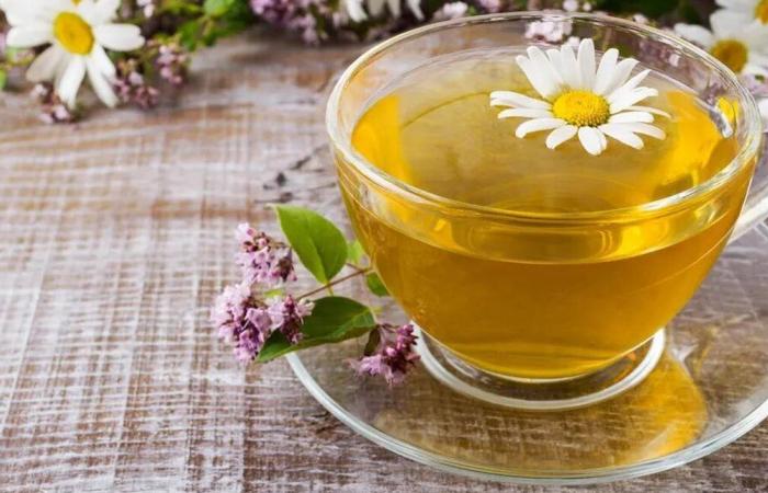 مفاجأة.. هذه فوائد كوب البابونج قبل النوم!