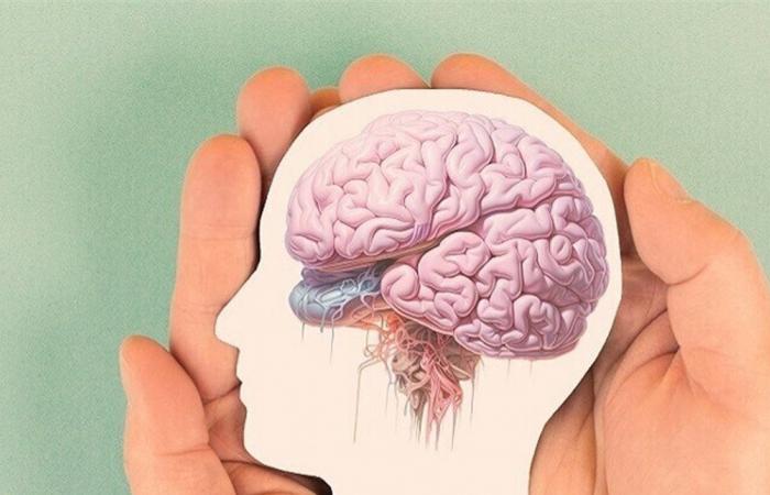 أطعمة تعزز صحة الدماغ وتحسن التركيز