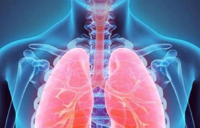 التلوث البيئي… العدو الخفي للرئتين