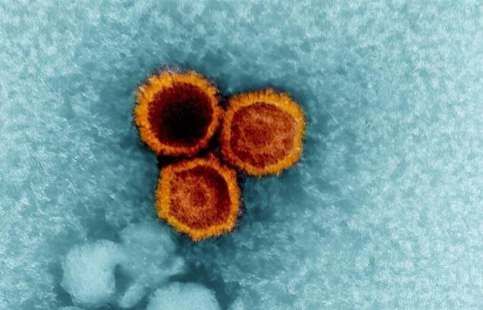 انتشار فيروس بلا لقاح أو علاج في أميركا.. وهذه أعراضه