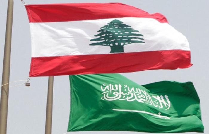 مُساعدات إغاثيّة عاجلة من السعودية لـ 10 آلاف أسرة لبنانية