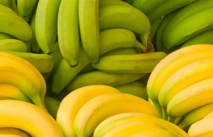 الموز الأخضر أم الأصفر؟.. دراسة تحسم الجدل حول الأفضل لمرضى السكري