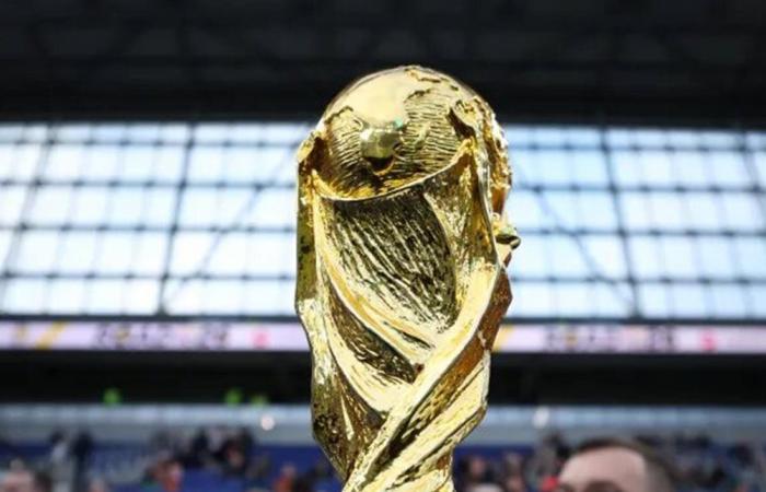 من "مجانية" قطر لـ "جنون" أمريكا.. صدمة أسعار تنتظر عشاق الكرة