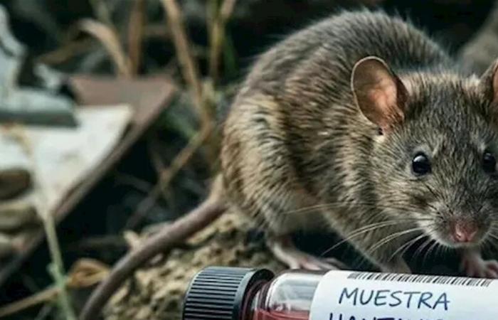 تفشٍّ غامض على متن سفينة "هونديوس"… فيروس هانتا يعيد القلق الصحي إلى الواجهة