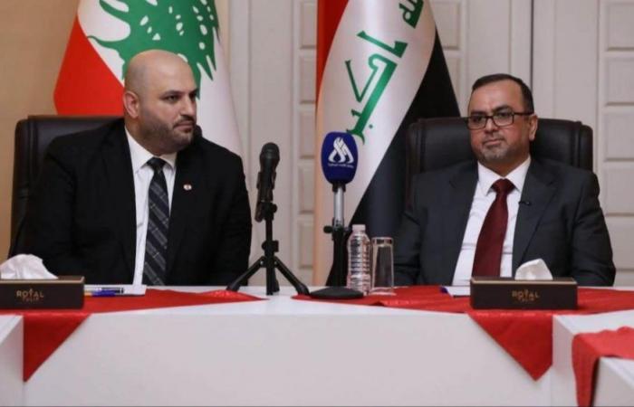 ناصر الدين في بغداد… وعمل على تعزيز التعاون الصحي
