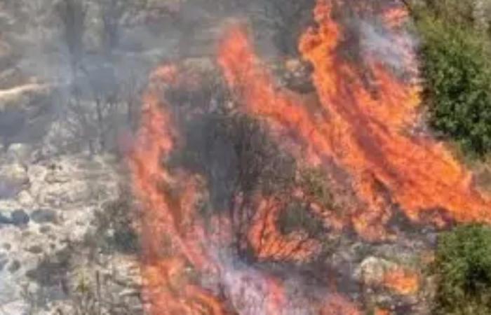إخماد حريق أحراج عين جرفا وعين قنيا