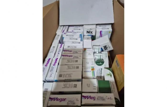 ضبط أدوية مهربة داخل مستودع في بيروت