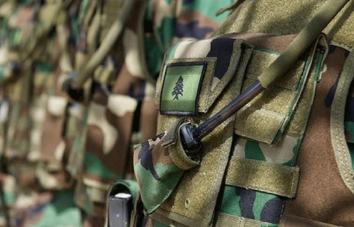 الجيش: تفجير ذخائر غير منفجرة في كامد اللوز