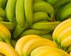 الموز الأخضر أم الأصفر؟.. دراسة تحسم الجدل حول الأفضل لمرضى السكري