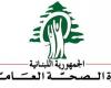 إليكم حصيلة الغارات على قرى في صور والنبطية