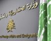 “الخارجية” ترحّب بإلغاء قرار منع سفر الاماراتيين إلى لبنان