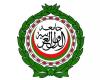 الأمين العام لجامعة الدول العربية يدين نسف حي في بنت جبيل